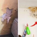 Comment empêcher la mousse de revenir ?