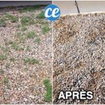 Comment enlever la mousse sur une cour en gravier ?