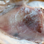 Comment enlever la peau de l'aile de raie ?