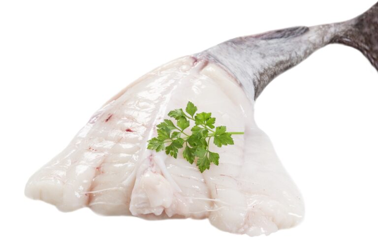 Comment enlever l’arête de la queue de lotte ? Comment enlever l'arête de la queue de lotte ?