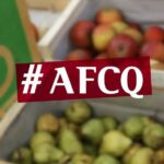 Comment est fait le bio ?