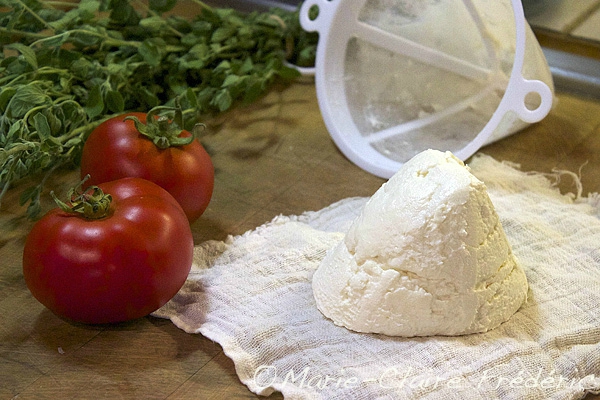 Comment est vendu la ricotta ? Comment est vendu la ricotta ?