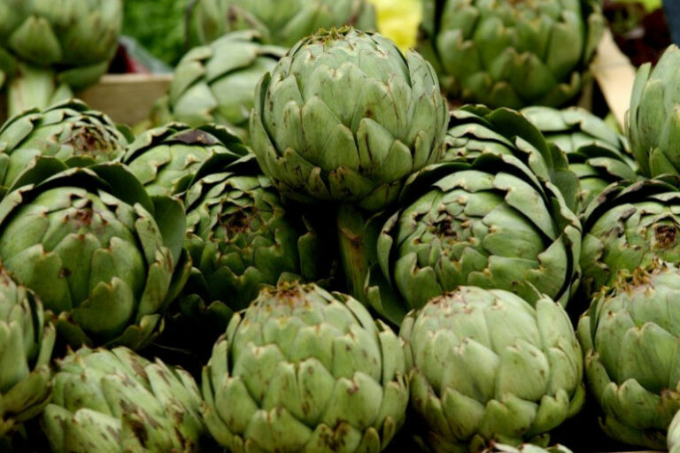 Comment eviter les gaz en mangeant des artichauts ? Comment eviter les gaz en mangeant des artichauts ?