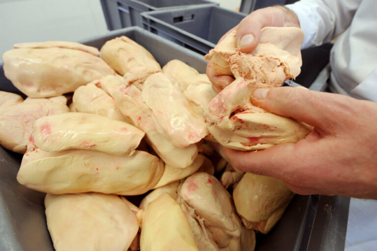 Comment faire Decongeler un foie gras cru ?