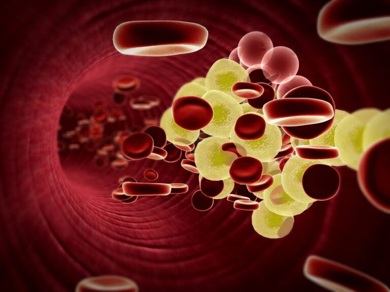 Comment faire baisser le taux de cholestérol ?