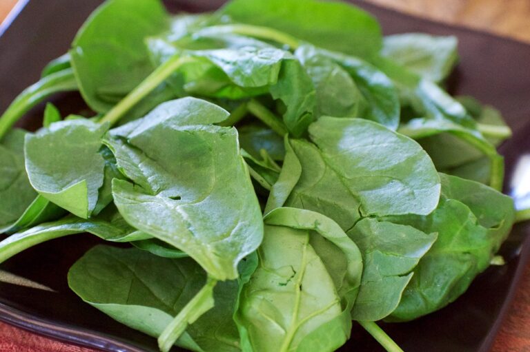 Comment faire blanchir des épinards frais ?