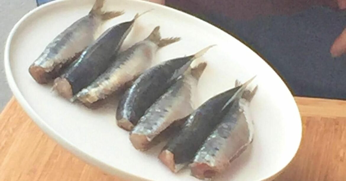 Voir En Video Comment Faire Cuire Des Filets De Sardines