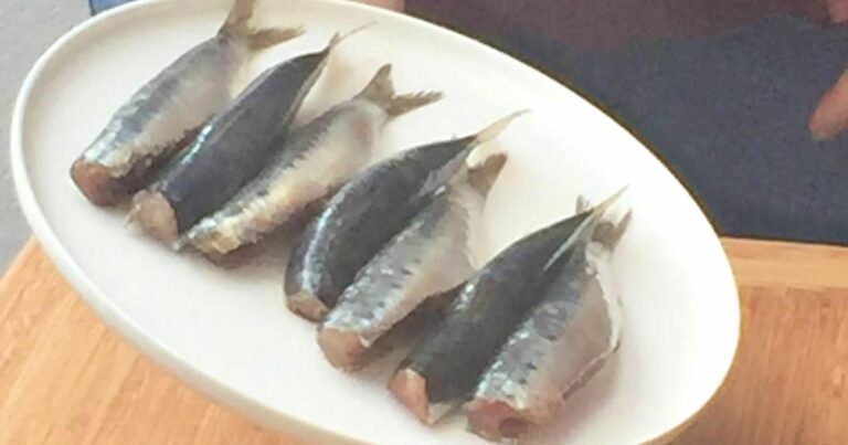 Comment faire cuire des filets de sardines ? Comment faire cuire des filets de sardines ?