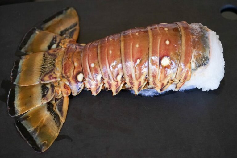 Comment faire cuire des langoustes surgelées ? Comment faire cuire des langoustes surgelées ?