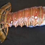 Comment faire cuire des queues de langoustes surgelées ?