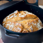 Comment faire cuire du cheval ?