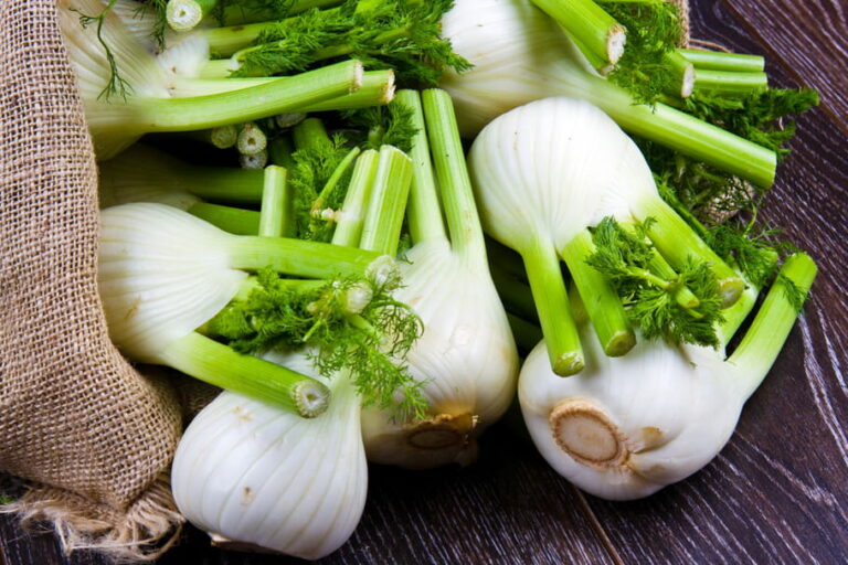 Comment faire cuire le fenouil ?