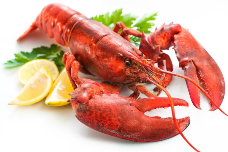 Comment faire cuire le homard vivant ?