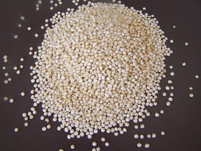 Comment faire cuire le quinoa blanc ?