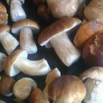 Comment faire cuire les cèpes avant de les congeler ?