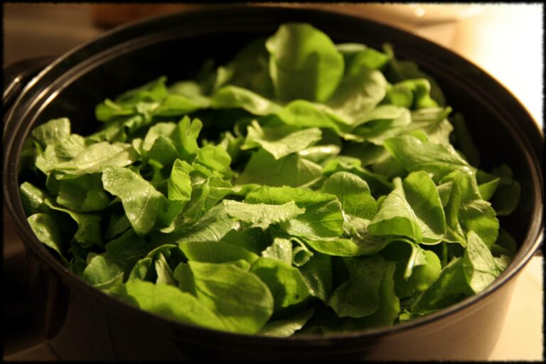 Comment faire cuire les fanes de radis ?