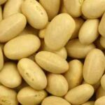 Comment faire cuire les haricots blancs pour bien les digestes ?