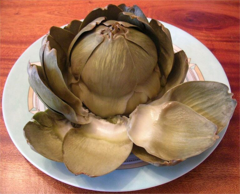 Comment faire cuire un artichaut pour bébé ? Comment faire cuire un artichaut pour bébé ?