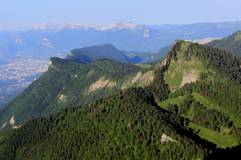 Comment faire de la Chartreuse ?