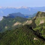 Comment faire de la Chartreuse ?