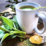 Comment faire de la tisane d'Acacia ?