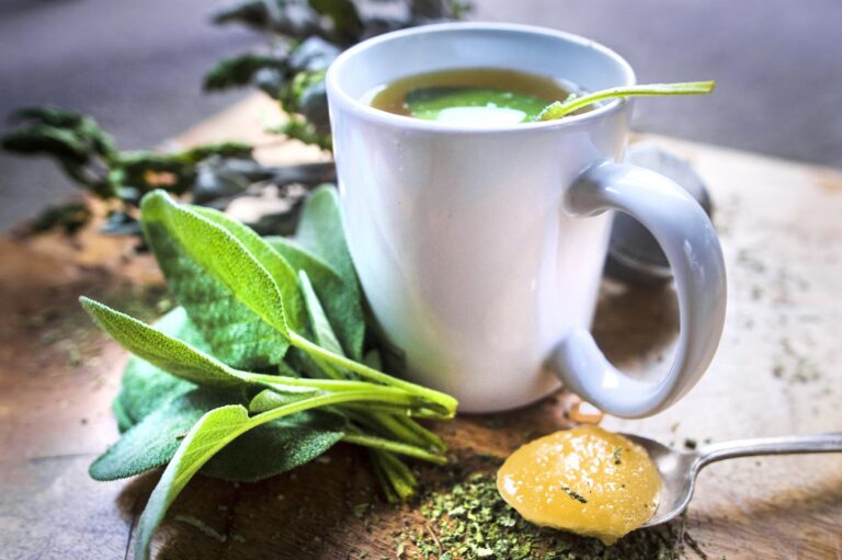 Comment faire de la tisane d'Acacia ?