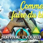 Comment faire des Kibble extraordinaire Ark ?