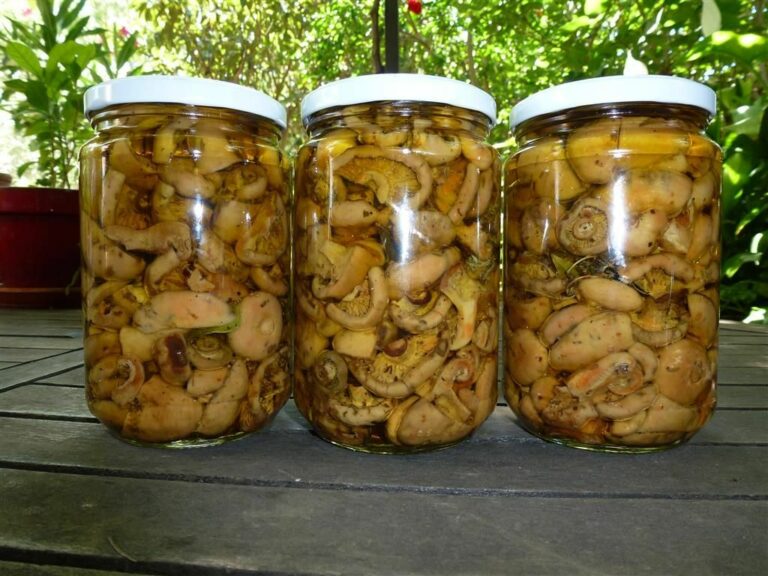 Comment faire des bocaux de champignons au vinaigre ?