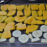 Comment faire des plats déshydratés ?