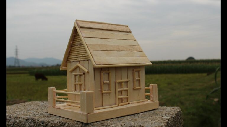 Comment faire des popsicles maison ?