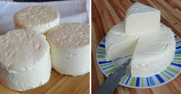 Comment faire du fromage à la maison ?