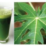Comment faire du jus de menthe ?