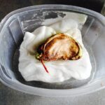 Comment faire germer une graine de mangue ?