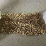 Comment faire lever une pâte qui ne lève pas ?