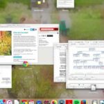 Comment faire partie d'une franchise ?