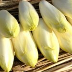 Comment faire pour enlever l'amertume des endives ?