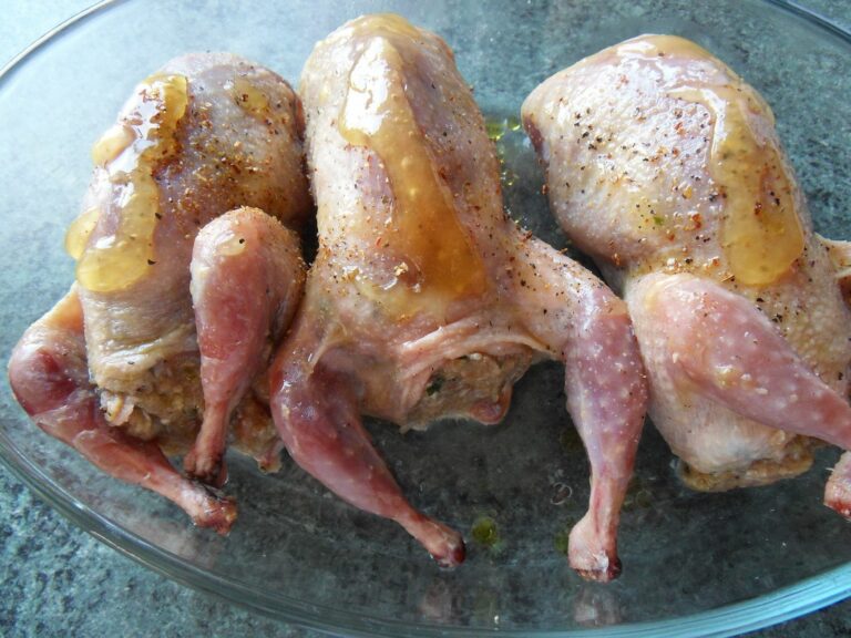 Comment faire pour que les cailles pondent ?