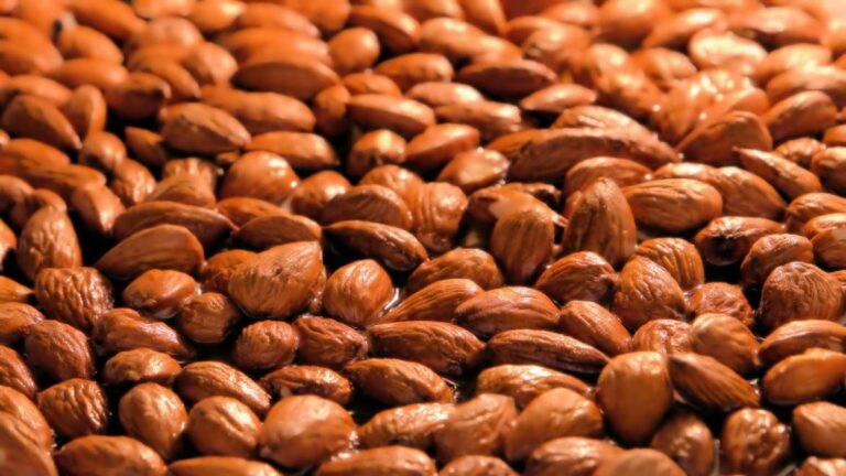 Comment faire pour torréfier des amandes ? Comment faire pour torréfier des amandes ?