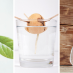 Comment faire pousser un noyau d'avocat ?