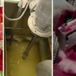 Comment faire prendre de la gélatine ?