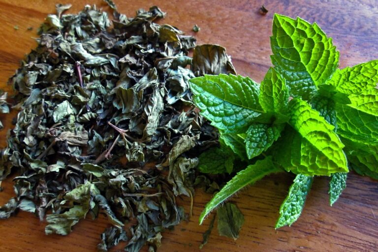 Comment faire sécher des primeveres ? Comment faire sécher des primeveres ?