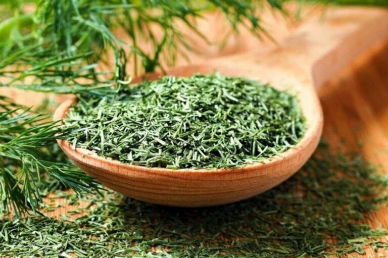 Comment faire sécher du figatelli frais ? Comment faire sécher du figatelli frais ?