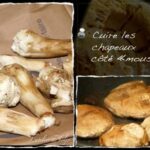 Comment faire sortir les vers d'un champignon ?