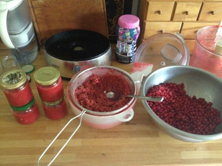 Comment faire un coulis de fruits ? Comment faire un coulis de fruits ?