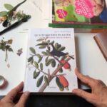 Comment faire un picnic simple ?