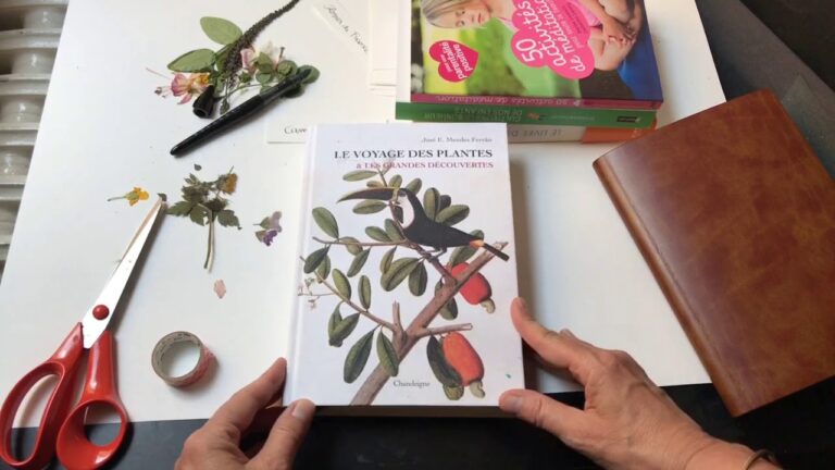 Comment faire un picnic simple ?