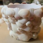 Comment faire un plateau de coquillage ?
