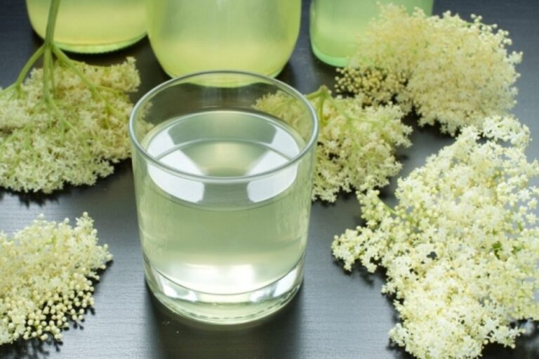 Comment faire un sirop de nappage ? Comment faire un sirop de nappage ?