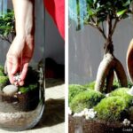 Comment faire un vase avec un bocal ?