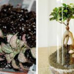 Comment faire une mousse bien fermé ?